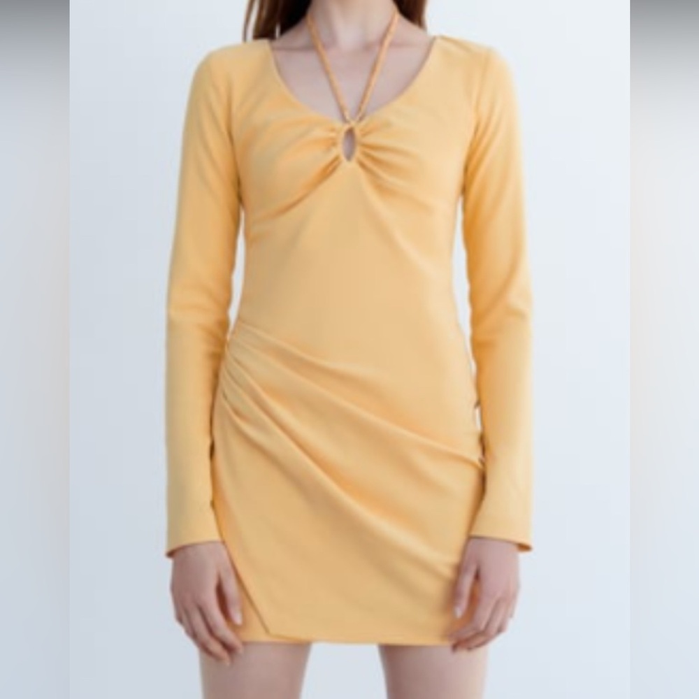 Zara Long Sleeve Mini